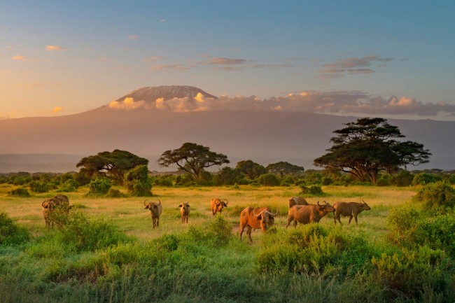Nairobi National Park