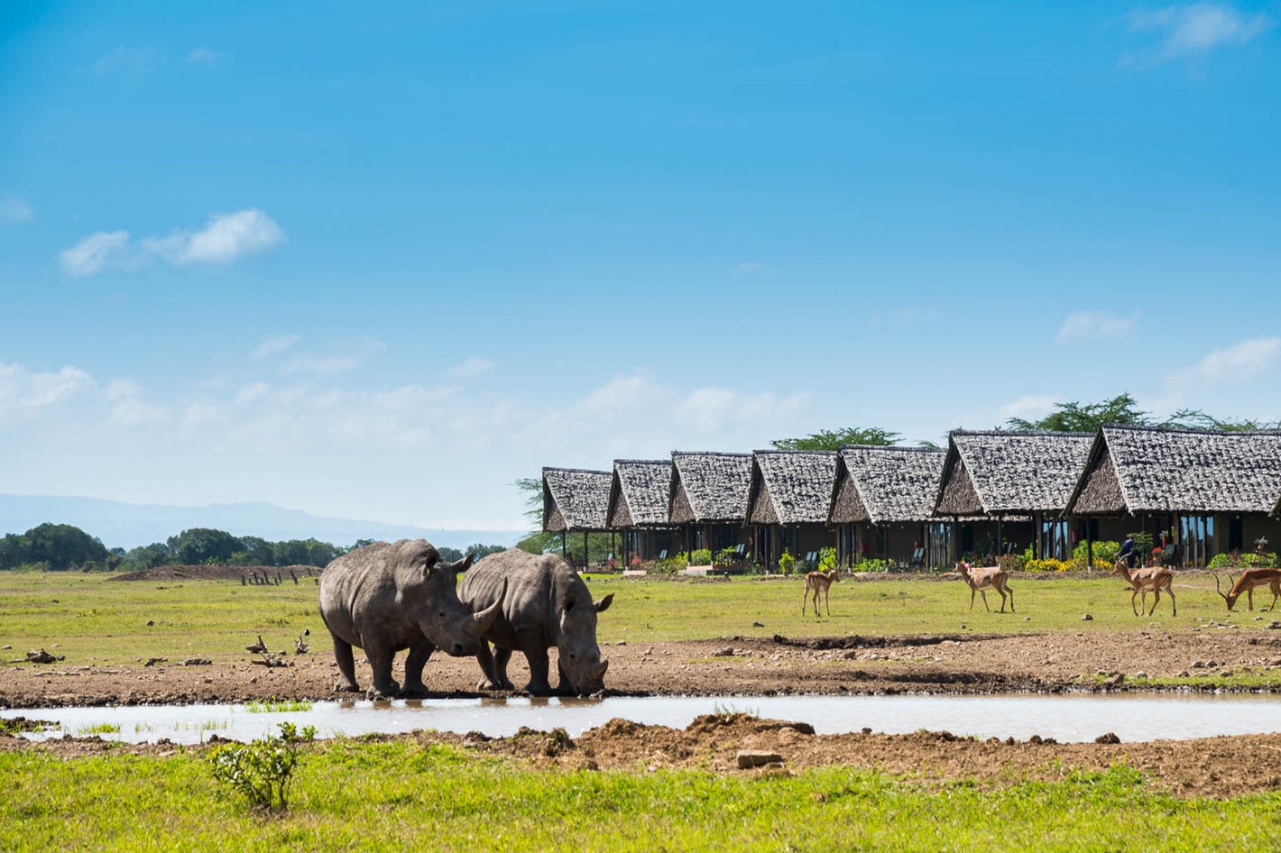 Nairobi National Park